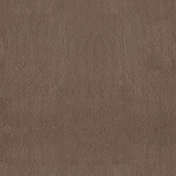 Anderson Tuftex Carpet Luxe Feel Ii Pebble Path 00722_ZZ322