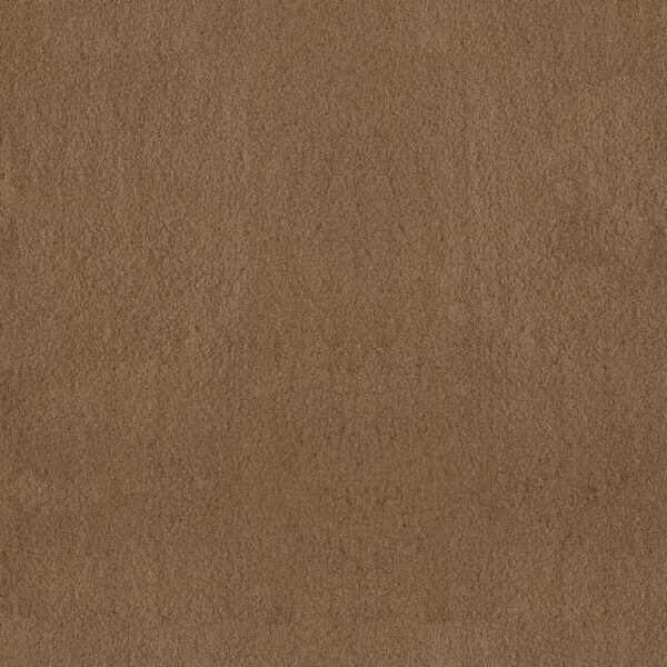 Anderson Tuftex Carpet Luxe Feel Ii Dried Chamomile 00740_ZZ322
