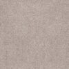 Anderson Tuftex Carpet Sumptuous I Breton 00140_ZZ323