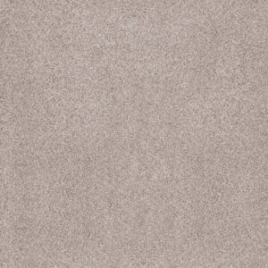 Anderson Tuftex Carpet Sumptuous I Breton 00140_ZZ323