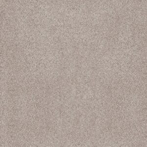 Anderson Tuftex Carpet Sumptuous I Valley 00141_ZZ323