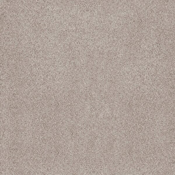 Anderson Tuftex Carpet Sumptuous I Valley 00141_ZZ323