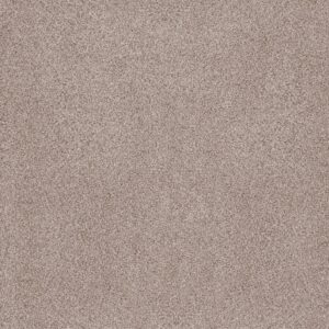 Anderson Tuftex Carpet Sumptuous I Cricket Club 00143_ZZ323