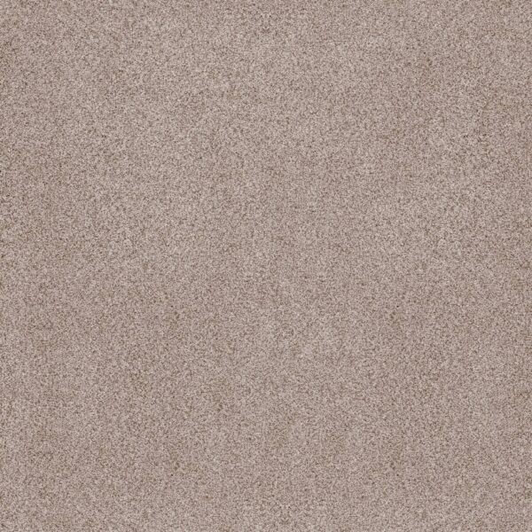 Anderson Tuftex Carpet Sumptuous I Cricket Club 00143_ZZ323