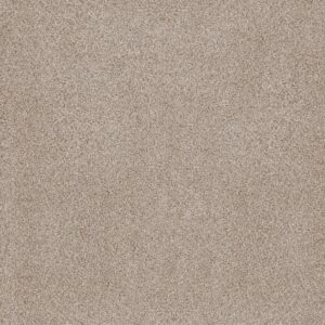 Anderson Tuftex Carpet Sumptuous I Cliff 00144_ZZ323