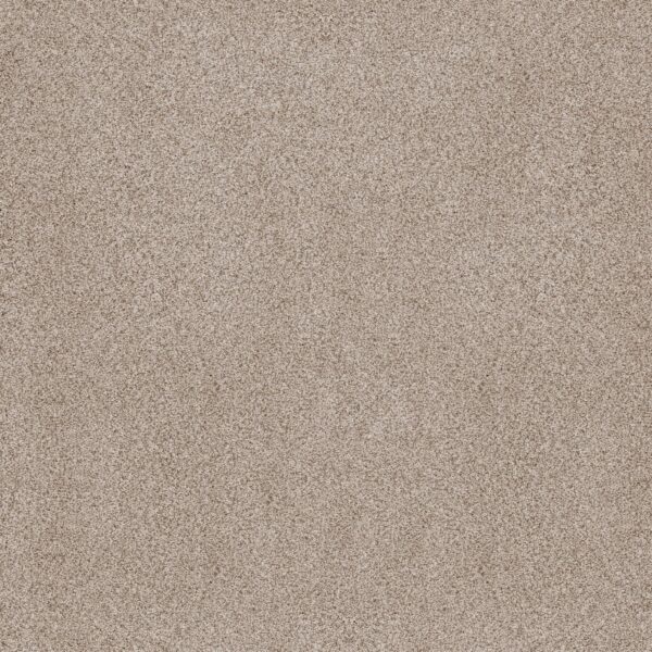 Anderson Tuftex Carpet Sumptuous I Cliff 00144_ZZ323