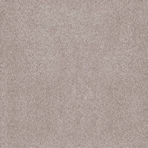 Anderson Tuftex Carpet Sumptuous I First Star 00151_ZZ323
