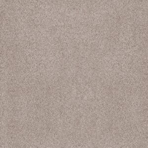 Anderson Tuftex Carpet Sumptuous I Granite Dust 00152_ZZ323