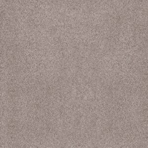 Anderson Tuftex Carpet Sumptuous I Patio Stone 00153_ZZ323