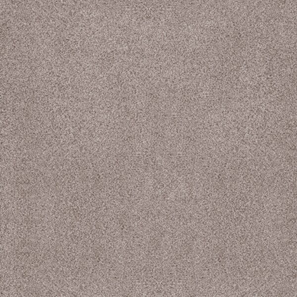 Anderson Tuftex Carpet Sumptuous I Patio Stone 00153_ZZ323