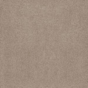 Anderson Tuftex Carpet Sumptuous I Cream Tea 00240_ZZ323