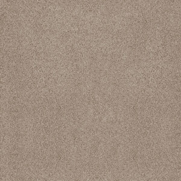 Anderson Tuftex Carpet Sumptuous I Cream Tea 00240_ZZ323