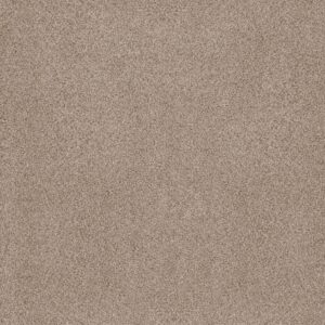 Anderson Tuftex Carpet Sumptuous I Toasted Grain 00241_ZZ323