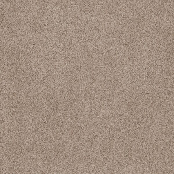 Anderson Tuftex Carpet Sumptuous I Toasted Grain 00241_ZZ323