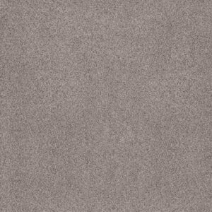 Anderson Tuftex Carpet Sumptuous I Rustic Gray 00550_ZZ323