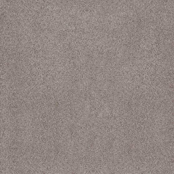 Anderson Tuftex Carpet Sumptuous I Rustic Gray 00550_ZZ323