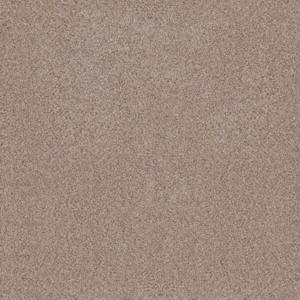 Anderson Tuftex Carpet Sumptuous I Earthen 00750_ZZ323