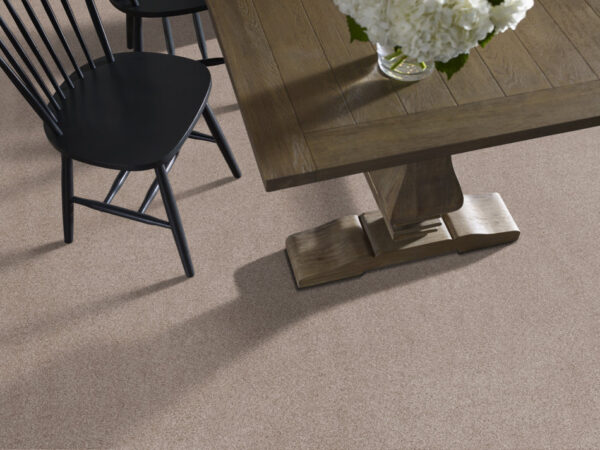 Anderson Tuftex Carpet Sumptuous I Earthen 00750_ZZ323 - Image 2