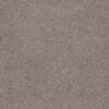 Anderson Tuftex Carpet Sumptuous I Heritage Taupe 00751_ZZ323