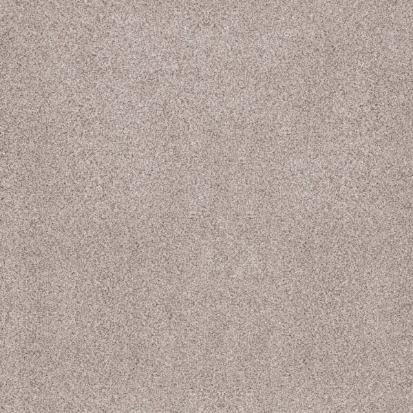 Anderson Tuftex Carpet Sumptuous Ii Breton 00140_ZZ324