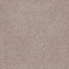 Anderson Tuftex Carpet Sumptuous Ii Cricket Club 00143_ZZ324