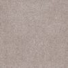 Anderson Tuftex Carpet Sumptuous Ii First Star 00151_ZZ324