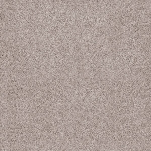 Anderson Tuftex Carpet Sumptuous Ii First Star 00151_ZZ324