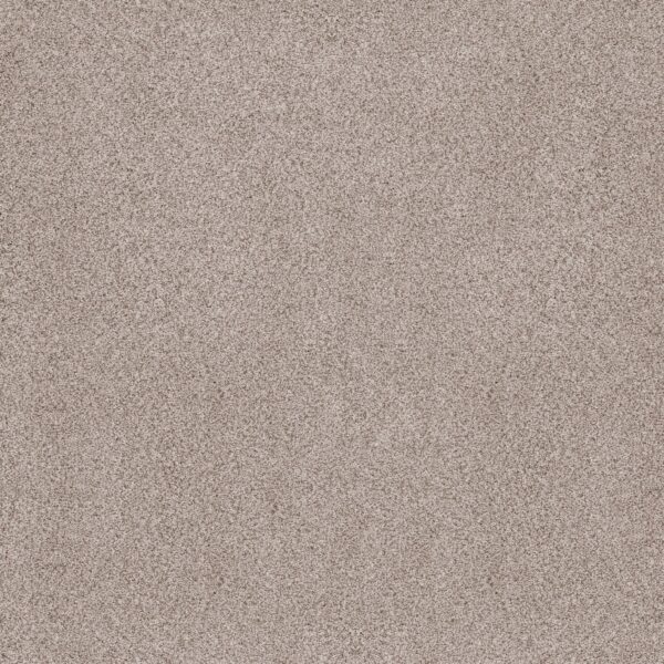 Anderson Tuftex Carpet Sumptuous Ii Granite Dust 00152_ZZ324