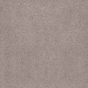 Anderson Tuftex Carpet Sumptuous Ii Patio Stone 00153_ZZ324