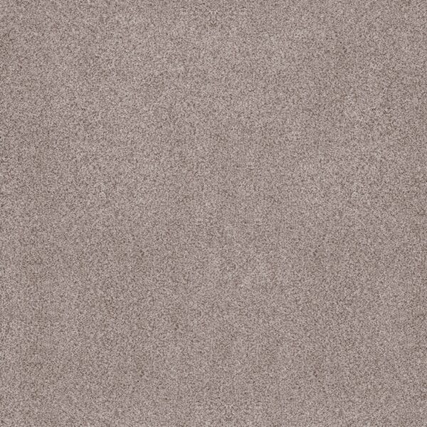 Anderson Tuftex Carpet Sumptuous Ii Patio Stone 00153_ZZ324