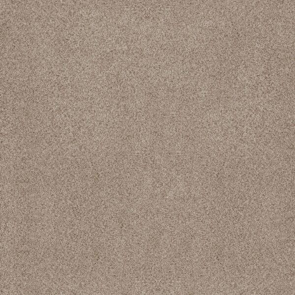 Anderson Tuftex Carpet Sumptuous Ii Cream Tea 00240_ZZ324