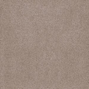 Anderson Tuftex Carpet Sumptuous Ii Earthen 00750_ZZ324