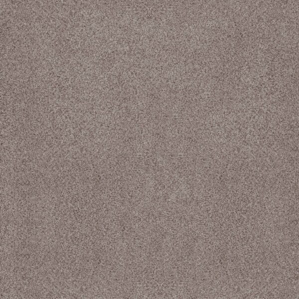 Anderson Tuftex Carpet Sumptuous Ii Heritage Taupe 00751_ZZ324