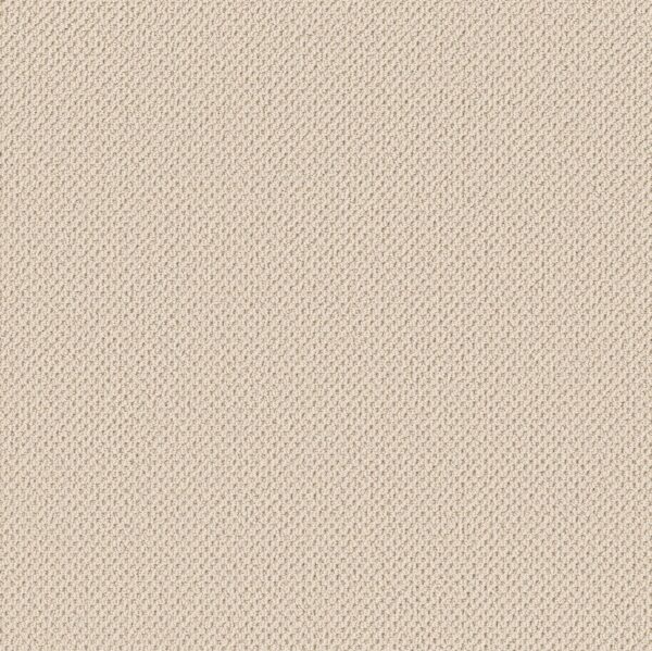 Anderson Tuftex Carpet Gracious Ivory Paper 00100_ZZ325