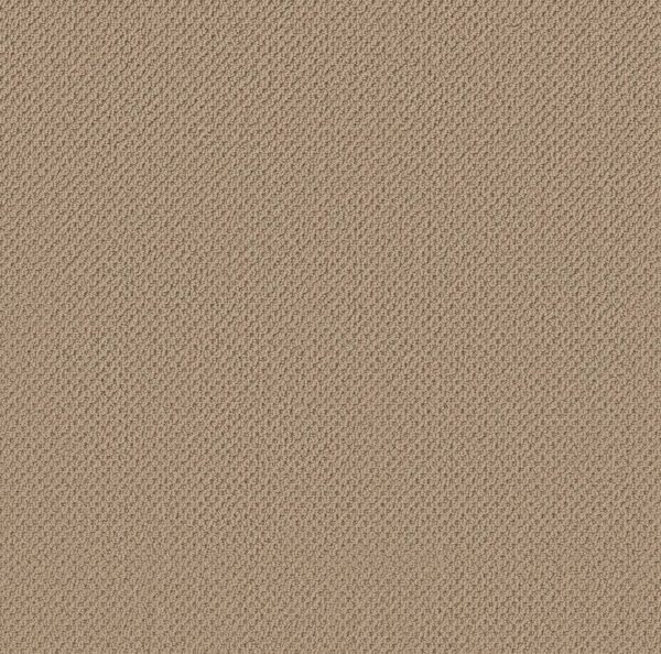 Anderson Tuftex Carpet Gracious Safari 00105_ZZ325