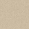 Anderson Tuftex Carpet Gracious Creamy 00140_ZZ325