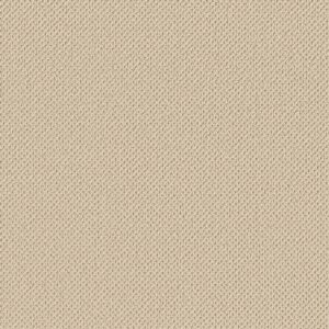 Anderson Tuftex Carpet Gracious Creamy 00140_ZZ325