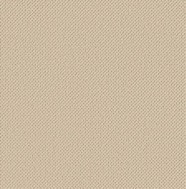 Anderson Tuftex Carpet Gracious Creamy 00140_ZZ325