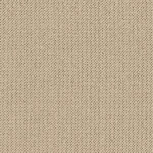 Anderson Tuftex Carpet Gracious Bamboo 00141_ZZ325