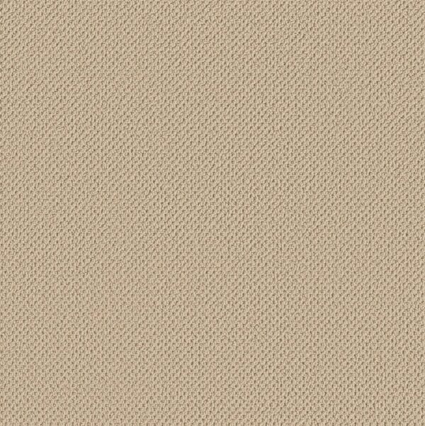 Anderson Tuftex Carpet Gracious Bamboo 00141_ZZ325