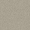 Anderson Tuftex Carpet Gracious Pumice Stone 00143_ZZ325