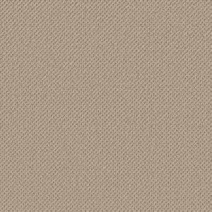 Anderson Tuftex Carpet Gracious Barista 00151_ZZ325