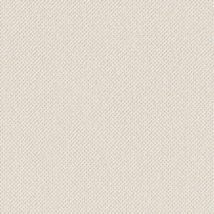 Anderson Tuftex Carpet Gracious Crisp Linen 00171_ZZ325