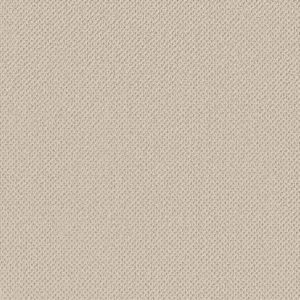 Anderson Tuftex Carpet Gracious Alabaster 00172_ZZ325