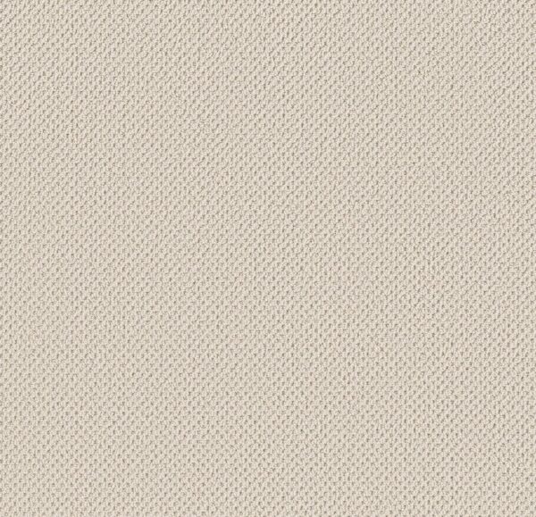 Anderson Tuftex Carpet Gracious Parchment 00194_ZZ325
