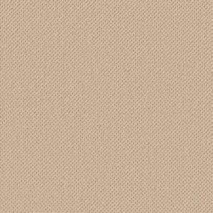 Anderson Tuftex Carpet Gracious Treasure 00200_ZZ325
