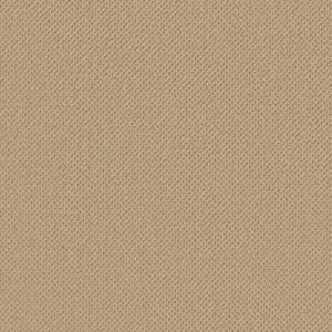 Anderson Tuftex Carpet Gracious Golden Rule 00201_ZZ325