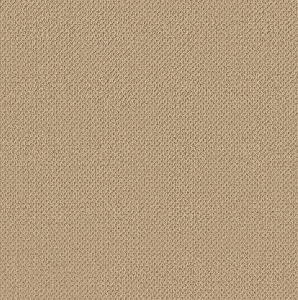 Anderson Tuftex Carpet Gracious Golden Rule 00201_ZZ325
