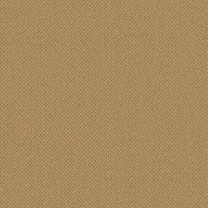 Anderson Tuftex Carpet Gracious Summer 00240_ZZ325