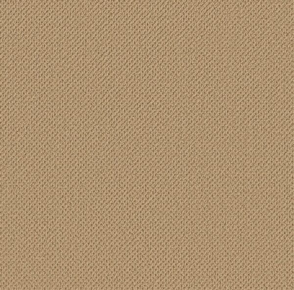 Anderson Tuftex Carpet Gracious Sisal 00241_ZZ325